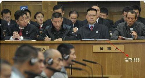 潘克律师最新爆料,揭秘重大案件背后惊人内幕  第1张