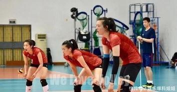 集训爆料女排视频大全最新,最新视频大全精彩瞬间回顾 第1张 集训爆料女排视频大全最新,最新视频大全精彩瞬间回顾 第1张